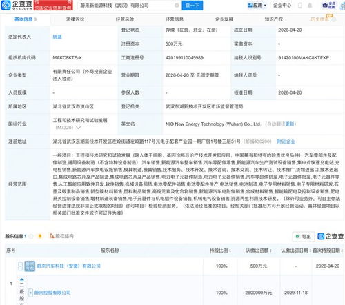 蔚來武漢布局新篇章 成立新能源科技公司，深化AI與軟件開發