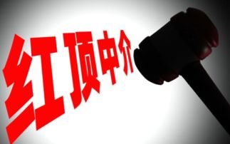 藍頂中介超市 高效服務助力市場主體少跑腿、多辦事、快辦事